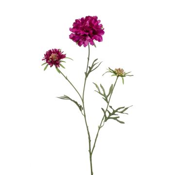 Scabiosa artificial MARUA, violeta, 80cm
