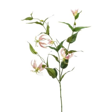 Gloriosa artificial WARIS rosa-crema, 120cm
