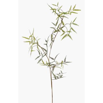 Rama de helecho espada artificial MALAICA, verde, 110cm