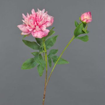 Peonía falsa BADIS, rosa, 75cm