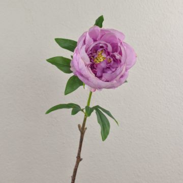 Peonía artificial BARBRO, violeta-crema, 65cm
