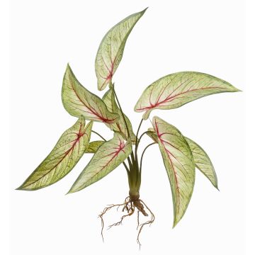 Calathea Ornata artificial ASAGI, con varilla, raíces, verde-rojo, 40cm