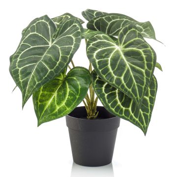 Anturio artificial TESHI, verde-crema, 25cm