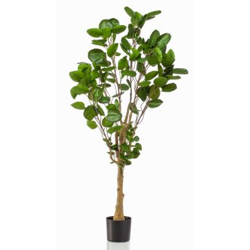Aralia artificial FAUZIA, tronco sintético, 150cm