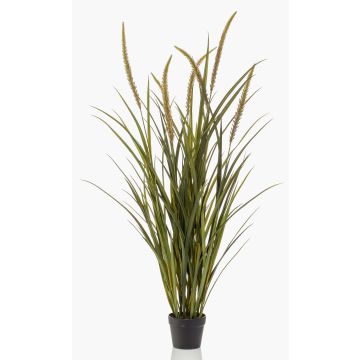 Hierba artificial cola de zorro ANOUR con panículas, verde-marrón, 130cm