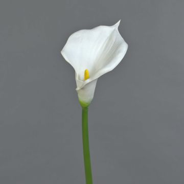 Calla artificial DAISCHI, blanca, 70cm