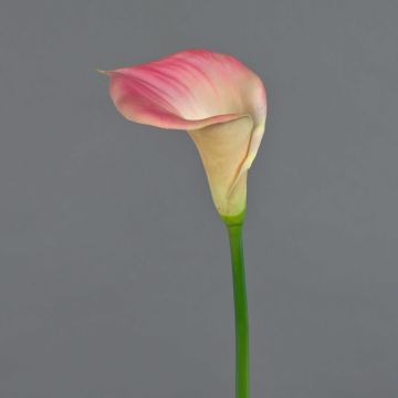 Calla artificial DAISCHI, rosa-crema, 70cm