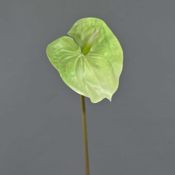 Flor de Anthurium de plástico YUSEI, verde-crema, 65cm