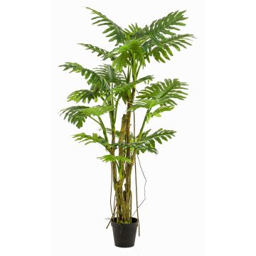 Filodendro artificial Selloum EDHEM, 195cm