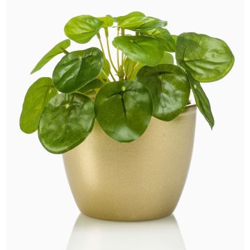 Planta china del dinero artificial SYBIL en maceta de cerámica dorada, verde, 13cm