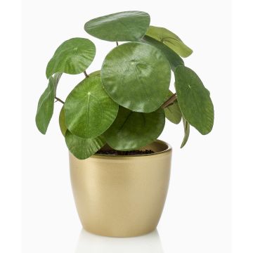 Planta china del dinero artificial SYBIL en maceta dorada, verde, 20cm