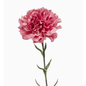 Clavel artificial NIRUSHA, rosa viejo, 65cm