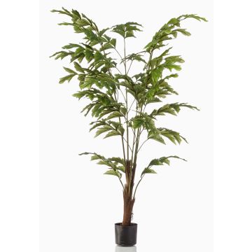 Palmera cola de pez artificial AIDING, 155cm