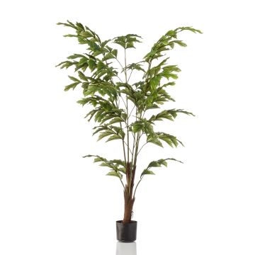 Palmera cola de pez artificial AIDING, 155cm
