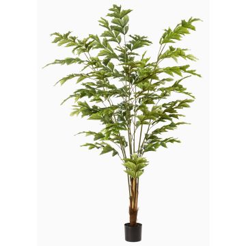 Palmera cola de pez artificial AIDING, 195cm