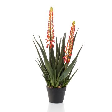 Planta de aloe vera artificial SUSUMI con flores, maceta decorativa, naranja-verde, 80cm