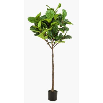 Ficus Lyrata artificial ABIULA, tronco real, verde, 195cm
