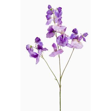 Lathyrus artificial KANZI, morado, 75cm Lathyrus artificial KANZI, morado, 75cm