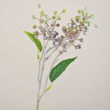 Rama de saúco artificial TEITH con frutos, marrón-verde, 40cm