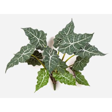 Alocasia artificial Sanderiana ORLANDA, verde-blanco, 60cm