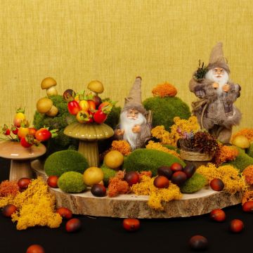 Visita de los enanos en la Comarca