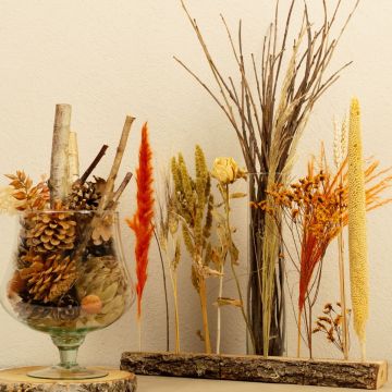 Sueño de final de verano