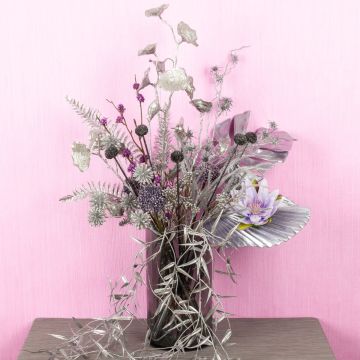 Rapsodia de chicas Rapsodia de chicas