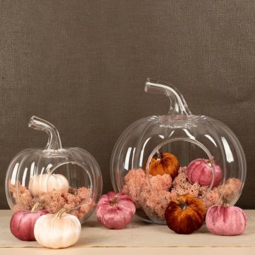 Abrázame calabaza Abrázame calabaza