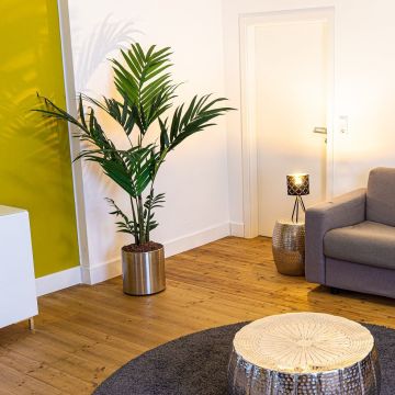 Green Roommate Parte 1