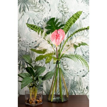 Estrellas de la selva