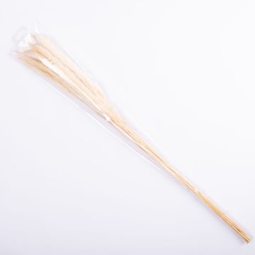 Manojo seco de hierba de la Pampa MARCELLA, blanqueada, 75cm