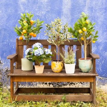 Sensación mediterránea