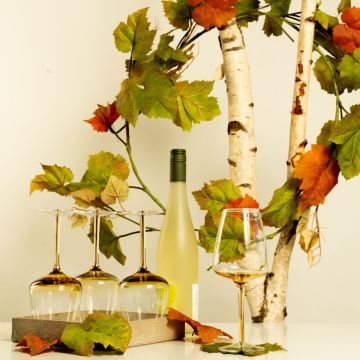 Una bonita tarde de verano con vino Una bonita tarde de verano con vino