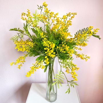 Yellow Fairytale Yellow Fairytale