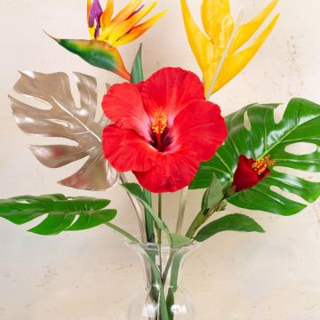 Vibras de verano Vibras de verano