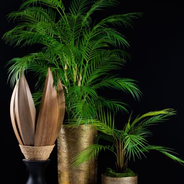 Belleza paradisíaca