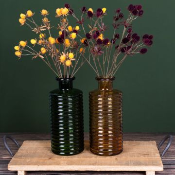 Verano indio Verano indio