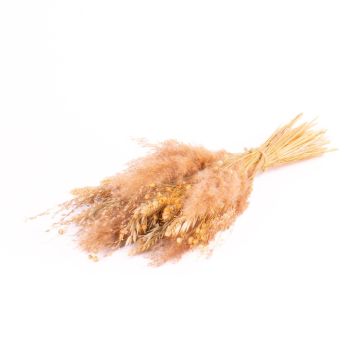 Ramo seco EISTLA, natural, 50 cm, Ø 23 cm