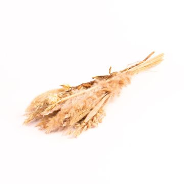 Ramo seco DILIANE, blanco natural, 50 cm, Ø 15 cm