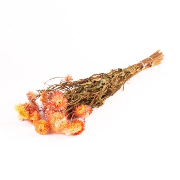 Ramo de flores de paja ALMINKA, secas, amarillo-naranja, 50-60 cm, Ø 15 cm