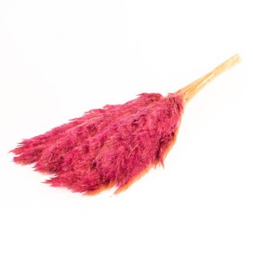 Cogollo de junco seco DONJETA, violeta, 70-80 cm, Ø 15 cm