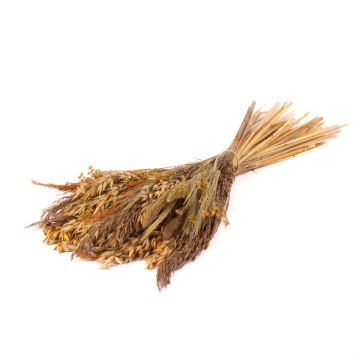 Ramo de espigas seco FALADA, natural, 65 cm, Ø 20 cm