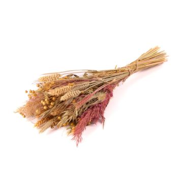 Ramo seco DILIANE, rosa natural, 50 cm, Ø 15 cm