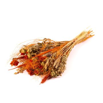 Ramo de espigas seco COVENTINA, naranja-natural, 65 cm, Ø 23 cm Ramo de espigas seco COVENTINA, naranja-natural, 65 cm, Ø 23 cm