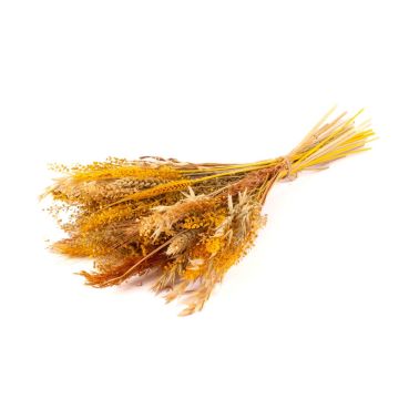 Ramo seco DILIANE, amarillo natural, 50 cm, Ø 15 cm