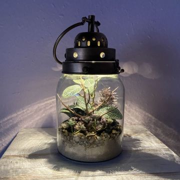 Jardín de botellas industrial Jardín de botellas industrial