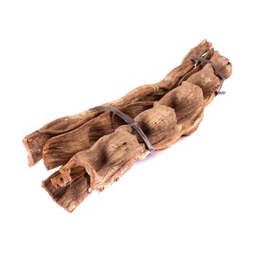 Manojo de trozos de liana seca Cipo Escada NALLESTE, 5 unidades, natural, 60 cm