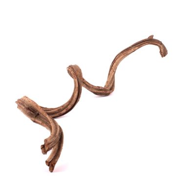 Liana seca Cipo Rosca TANGUN, natural, 100-120 cm