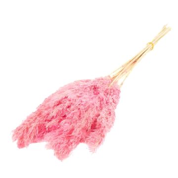 Cogollo de junco seco DONJETA, rosa, 70-80 cm, Ø 15 cm