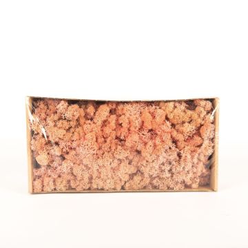 Auténtico musgo islandés SVEINBJÖRN, rosa, 500g